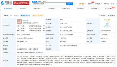 計算機軟件開發 從概念到實現的全過程解析